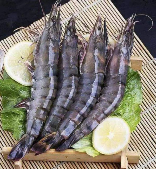 Tôm